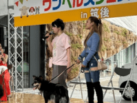 チームSAKURAの活動サポートとして「あとおし」が参加